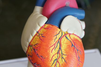 Diese 7 Biohacks garantieren ihr Herz gesund und stark zu halten