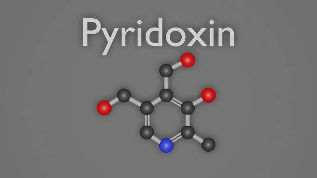 Pyridoxin Vitamin B6
