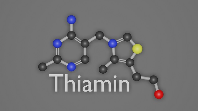 Was macht Thiamin Was macht Vitamin B1
